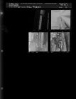 Snow Pictures (4 Negatives) March 9-10, 1960 [Sleeve 31, Folder c, Box 23]